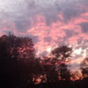 Meet your Posher, Conni